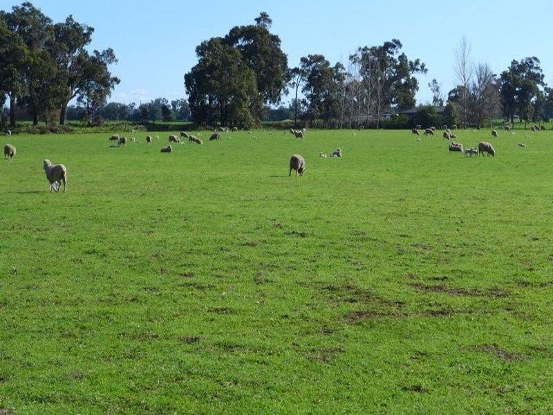 610 Vasse-Yallingup Siding Road, Marybrook WA 6280