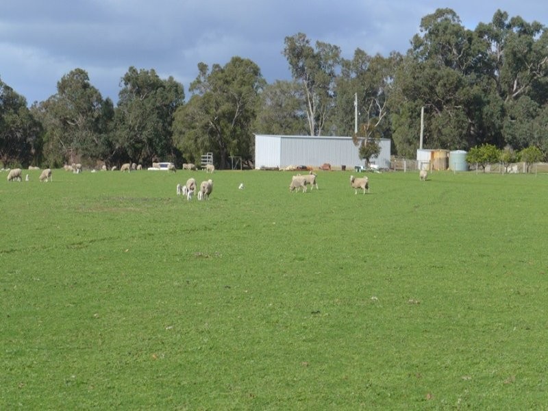 610 Vasse-Yallingup Siding Road, Marybrook WA 6280