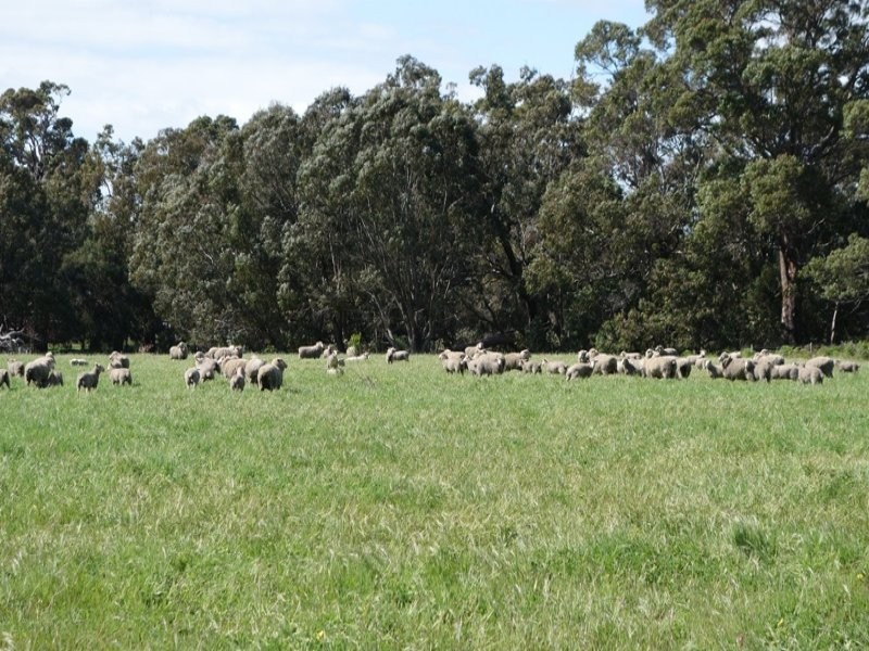 610 Vasse-Yallingup Siding Road, Marybrook WA 6280