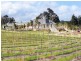 150 Bridgelands Road, Rosa Glen WA 6285