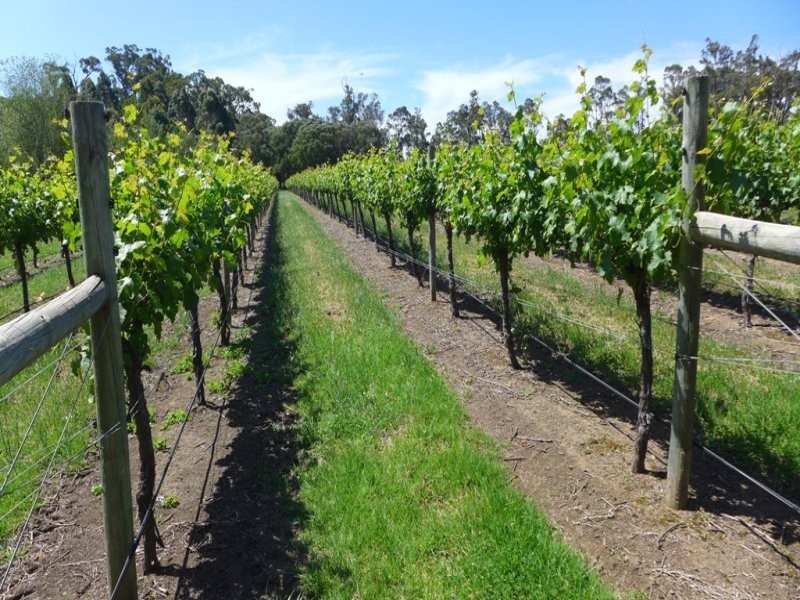 150 Bridgelands Road, Rosa Glen WA 6285