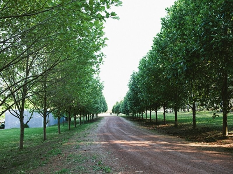 415 Treeton Road, Treeton WA 6284