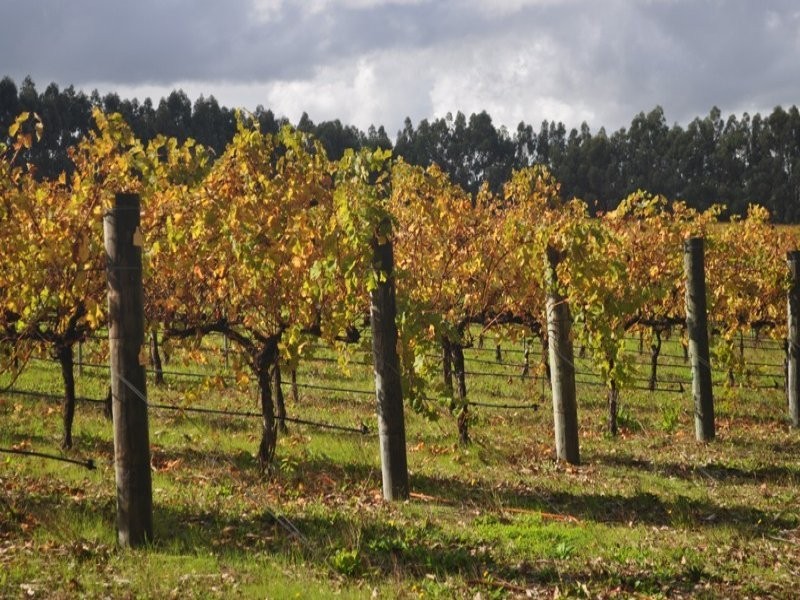 415 Treeton Road, Treeton WA 6284