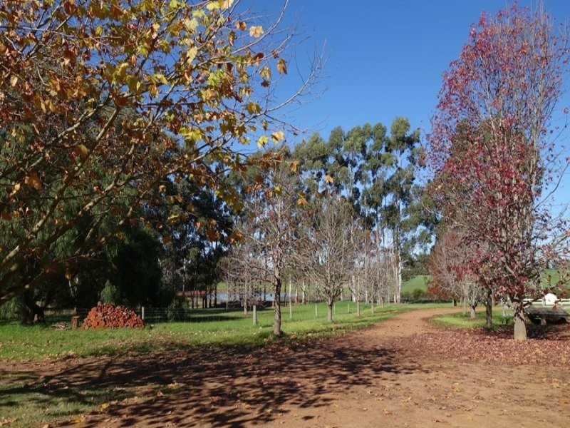 415 Treeton Road, Treeton WA 6284