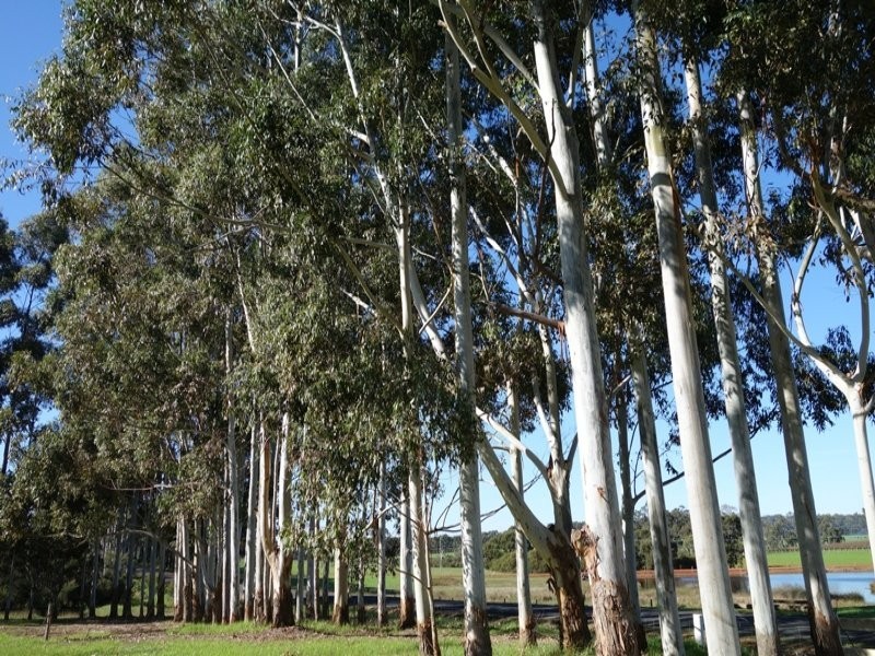 415 Treeton Road, Treeton WA 6284