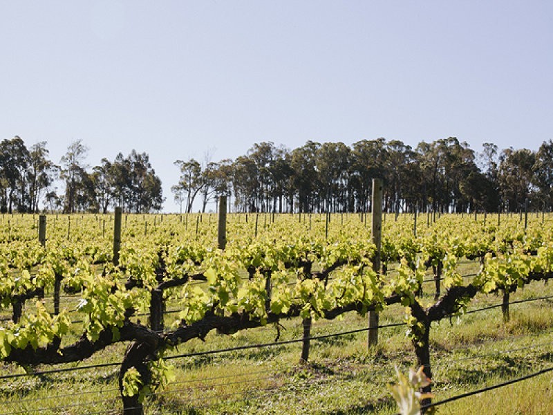 415 Treeton Road, Treeton WA 6284