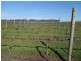 14803 Muir Highway, Mount Barker WA 6324