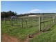 14803 Muir Highway, Mount Barker WA 6324