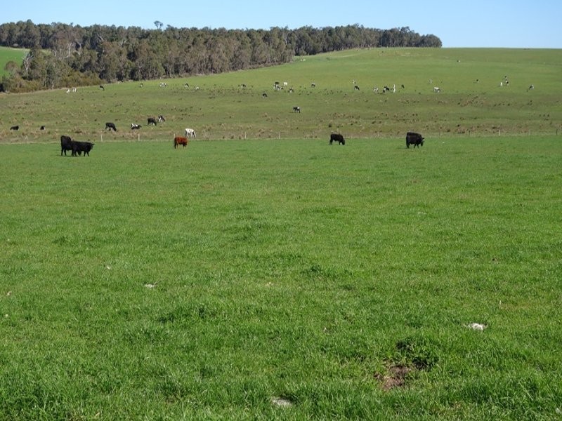 2283 Osmington Road, Osmington WA 6285