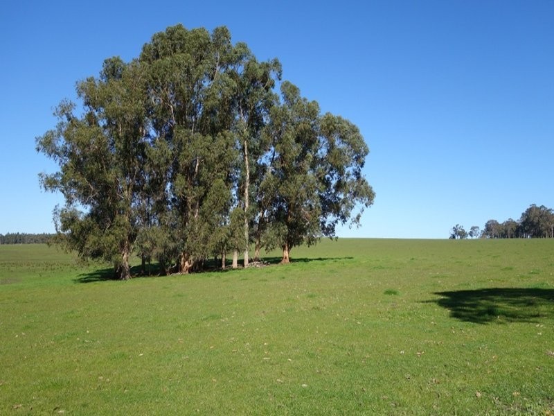 2283 Osmington Road, Osmington WA 6285