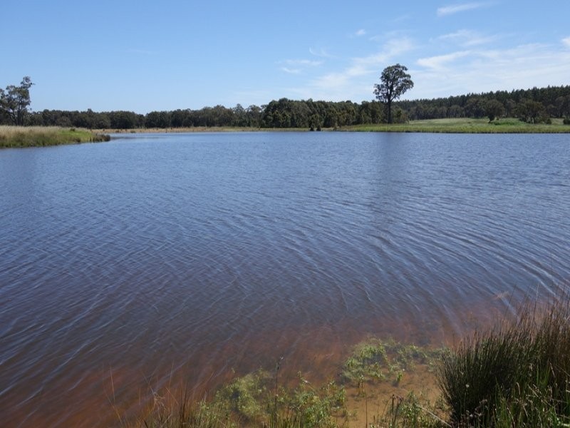 2892/195 Crozier Road, Rosa Brook WA 6285