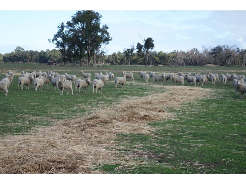 944 Boallia Road, Boallia WA 6280