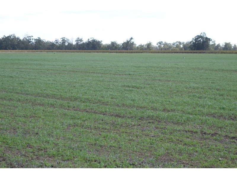 944 Boallia Road, Boallia WA 6280