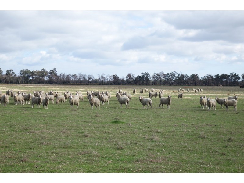 944 Boallia Road, Boallia WA 6280