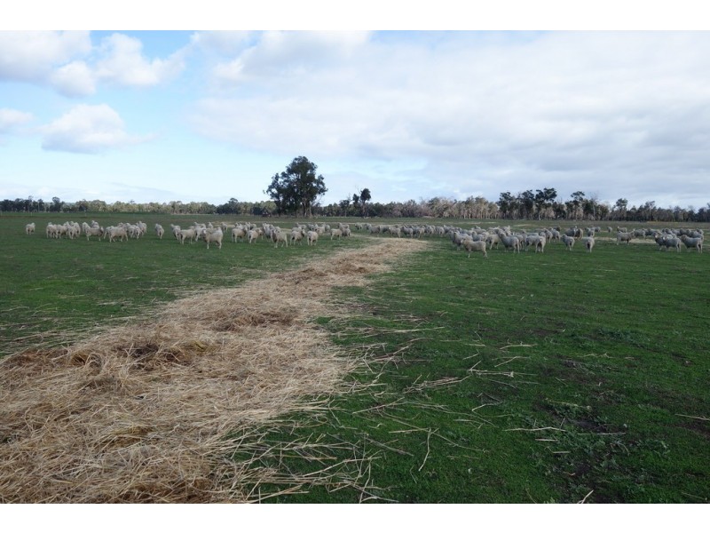 944 Boallia Road, Boallia WA 6280