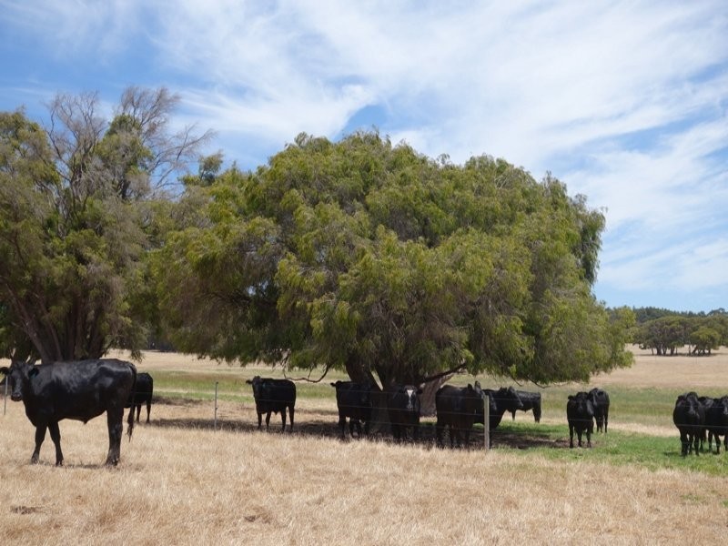 22/204 Twenty Four Road, Karridale WA 6288