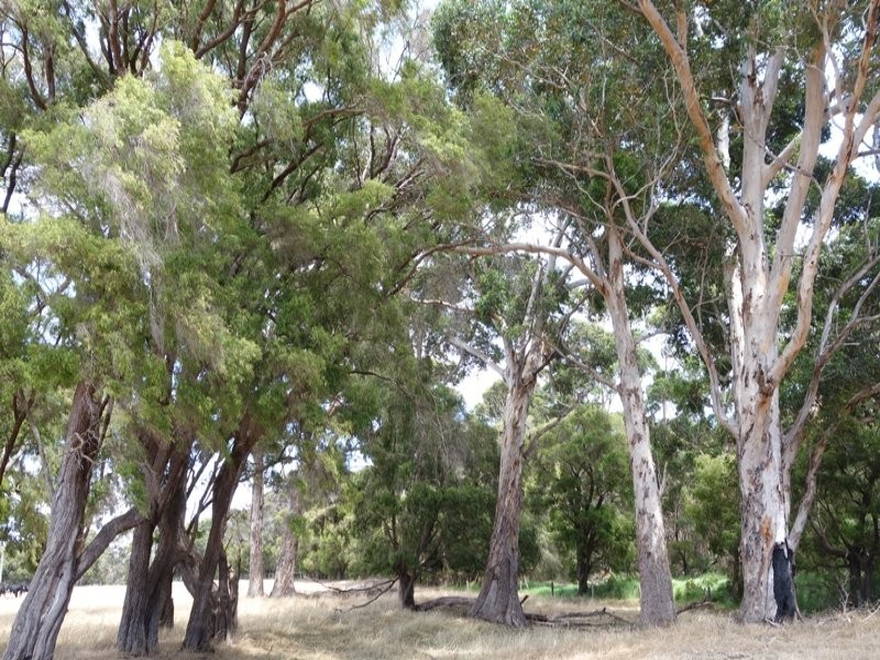 22/204 Twenty Four Road, Karridale WA 6288