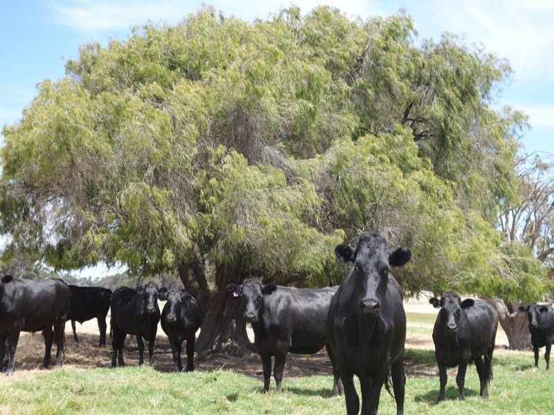 22/204 Twenty Four Road, Karridale WA 6288