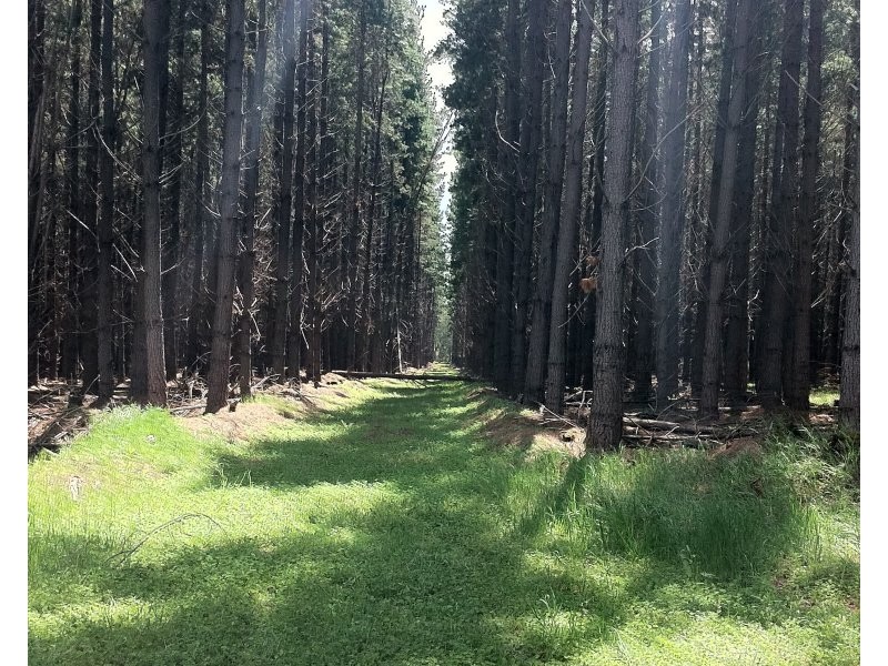 51/706 Manear Road, Rosa Glen WA 6285