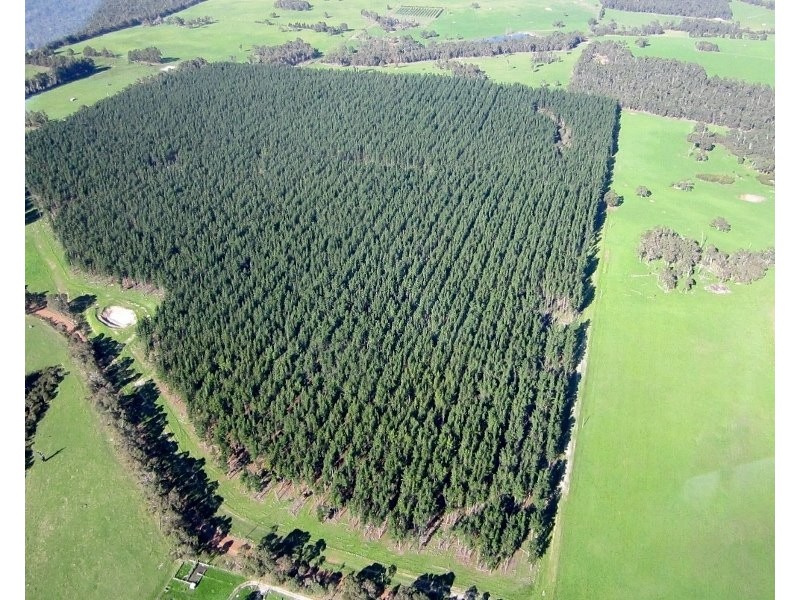 51/706 Manear Road, Rosa Glen WA 6285