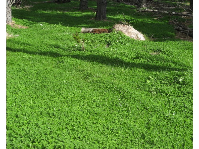 51/706 Manear Road, Rosa Glen WA 6285