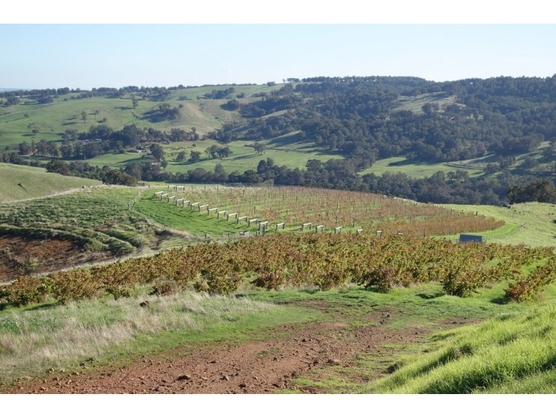 Lot 9 Catalano Road, Burekup WA 6227