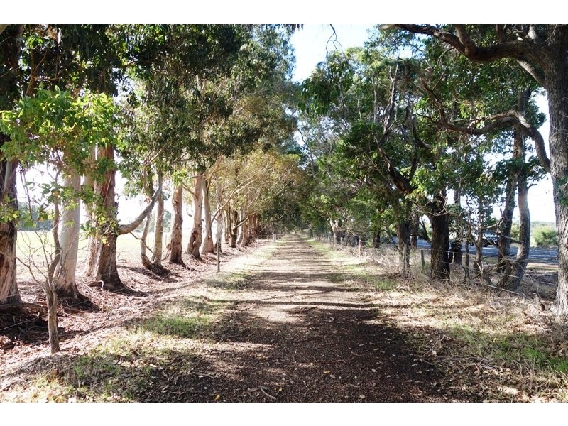 Lot 309 Bussell Highway, Cowaramup WA 6284