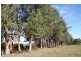 Lot 309 Bussell Highway, Cowaramup WA 6284