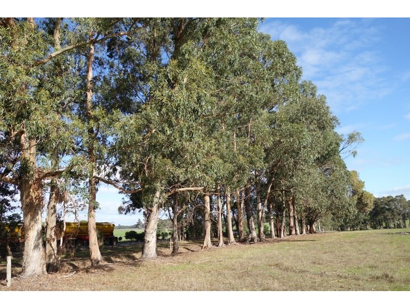 Lot 309 Bussell Highway, Cowaramup WA 6284