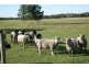 181 Silverwood Road, Metricup WA 6280