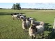 181 Silverwood Road, Metricup WA 6280