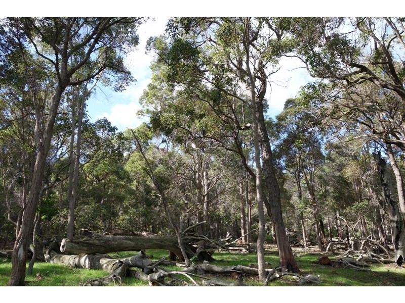 Lot 2874 Pusey Road, Wilyabrup WA 6280