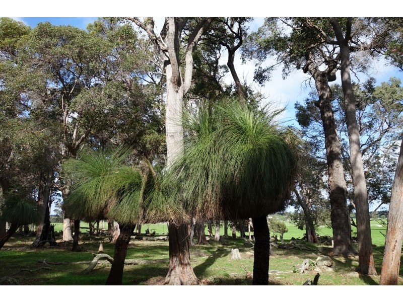 Lot 2874 Pusey Road, Wilyabrup WA 6280