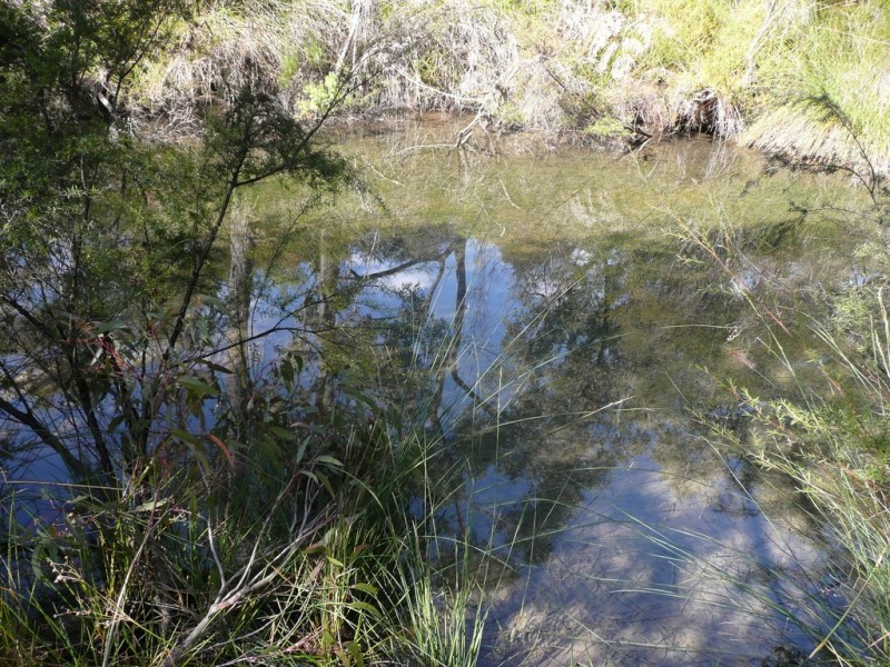 Lot 37 Walburra Siding Road, Metricup WA 6280