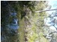 Lot 37 Walburra Siding Road, Metricup WA 6280