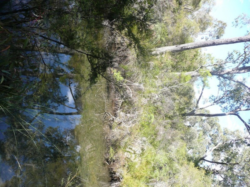 Lot 37 Walburra Siding Road, Metricup WA 6280