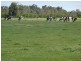 Lot 37 Walburra Siding Road, Metricup WA 6280