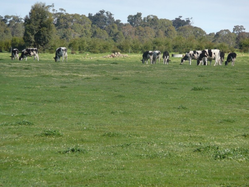 Lot 37 Walburra Siding Road, Metricup WA 6280