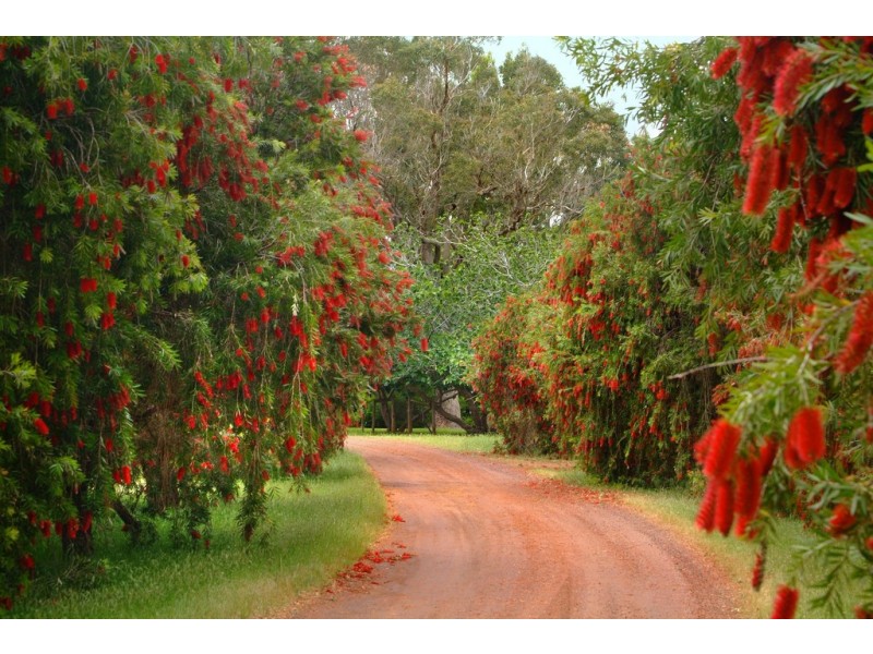 179 Boodjidup Road, Margaret River WA 6285