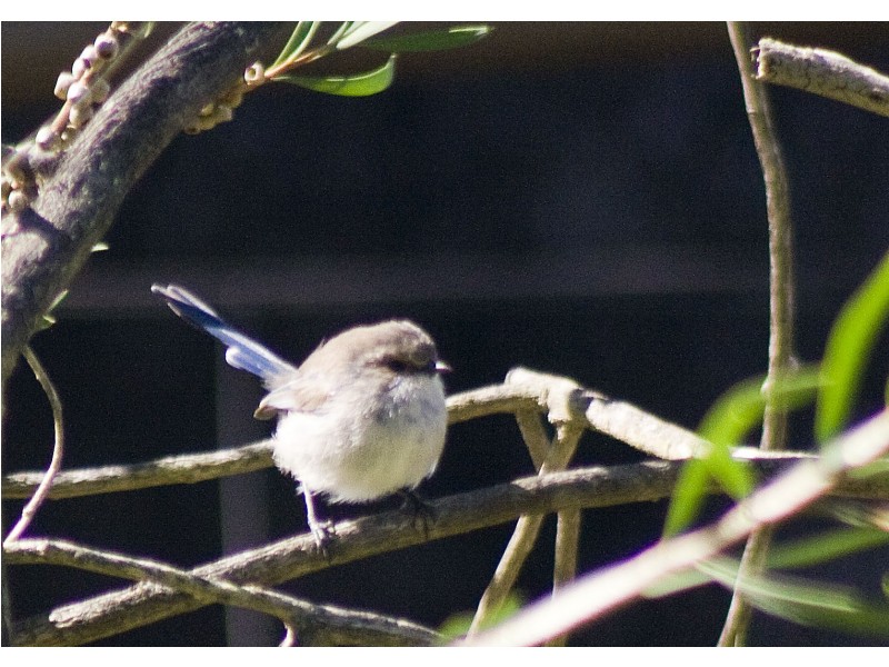 179 Boodjidup Road, Margaret River WA 6285