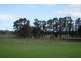 Lot 311 Gardiner Road, Cowaramup WA 6284