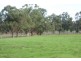 Lot 311 Gardiner Road, Cowaramup WA 6284