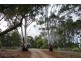 Lot 111/8114 Bussell Highway, Metricup WA 6280