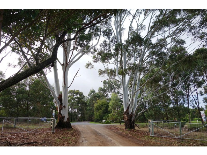 Lot 111/8114 Bussell Highway, Metricup WA 6280