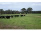 Lot 111/8114 Bussell Highway, Metricup WA 6280