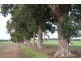 Lot 111/8114 Bussell Highway, Metricup WA 6280