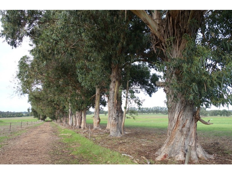 Lot 111/8114 Bussell Highway, Metricup WA 6280