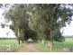 Lot 111/8114 Bussell Highway, Metricup WA 6280