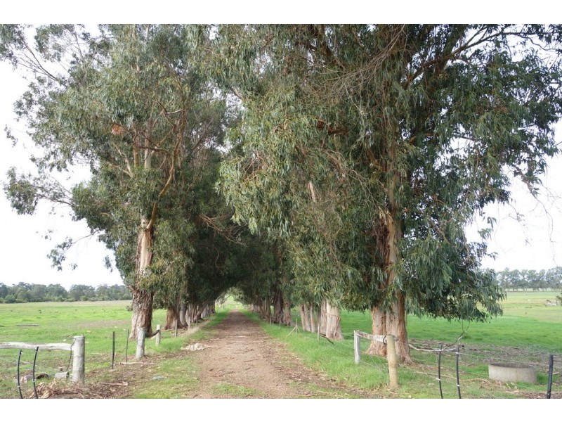 Lot 111/8114 Bussell Highway, Metricup WA 6280