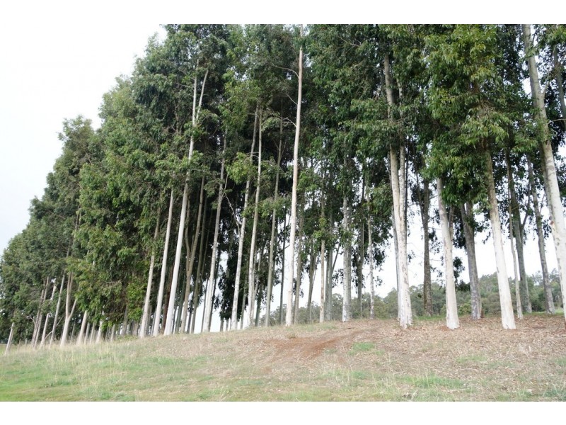 Proposed Lot E Hawterville Road, Balingup WA 6253